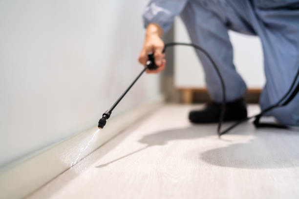 Licensed Termite Control service in Bay City, OR - Nex Pest Control
