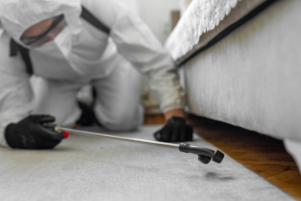 Professional Termite Control technician working in Bay City, OR