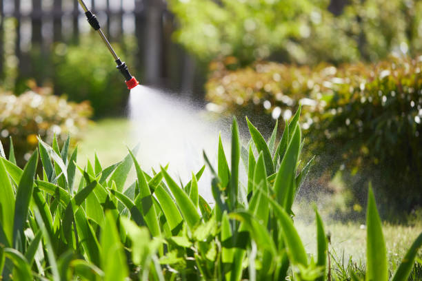 24/7 Emergency Termite Control experts in Bay City, OR