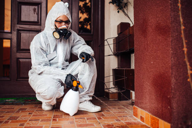 Reliable Termite Control contractor in Bay City, OR by Nex Pest Control