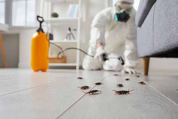 Trusted Fumigation Services service in Bay City, OR - Nex Pest Control